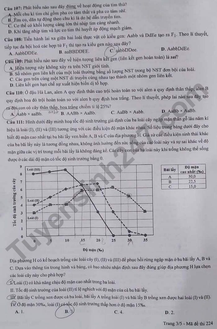 Đề thi môn Sinh học tốt nghiệp THPT 3 năm gần đây có đáp án tất cả mã đề- Ảnh 10.