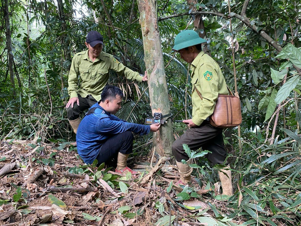 Ranger journey into the forest to set camera traps in Pu Huong Nature Reserve photo 6