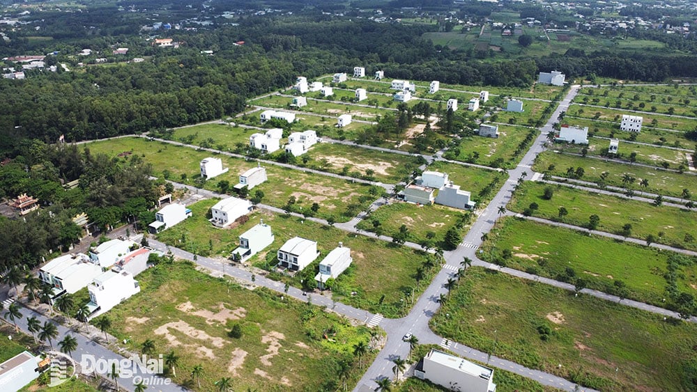 Cientos de clientes que compraron terrenos en el proyecto Residencial de Servicios Giang Dien (área A) esperan con cansancio que el inversor les entregue el libro rojo. Foto: P. Tung