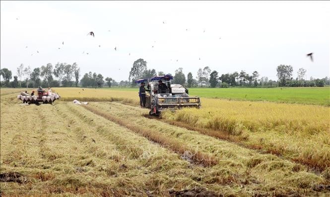 L'exportation de produits agricoles vise plus de 26 milliards de dollars