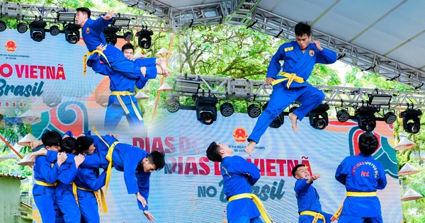 សិស្ស IVS បង្ហាញជំនាញ Vovinam និងរបាំនាគប្រពៃណីវៀតណាមនៅប្រទេសប្រេស៊ីល