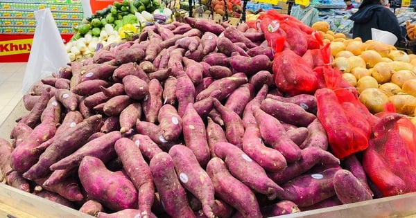 Den ganzen Monat Kartoffeln essen, um die Bankzinsen für den Wohnungskauf zu bezahlen