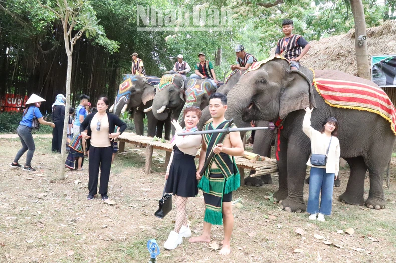 [Photo] ท่องเที่ยวเป็นมิตรกับช้าง ภาพที่ 7
