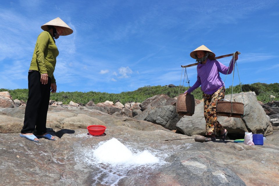 Đến nay, người dân Gò Cỏ vẫn làm muối trên đá, tiếp nối truyền thống của cha ông.