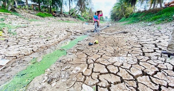 La canicule s'intensifie, l'eau salée pénètre profondément dans les rivières