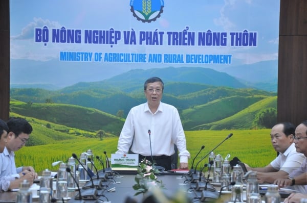 China is about to inspect Vietnam's fresh coconut growing area for export.