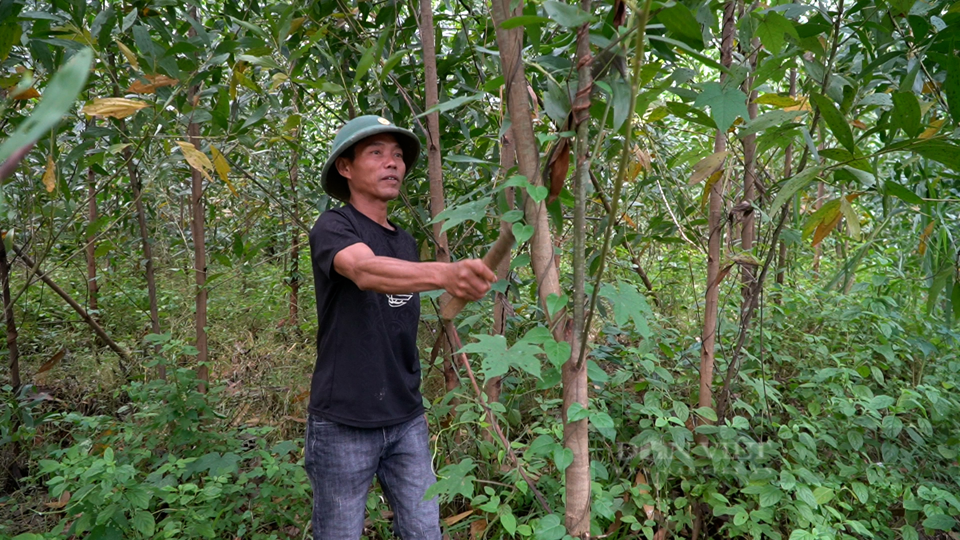 Quảng Ngãi: Người H’rê ở khu tái định cư Gò Thần có cuộc sống khấm khá, an toàn trước thiên tai- Ảnh 2.