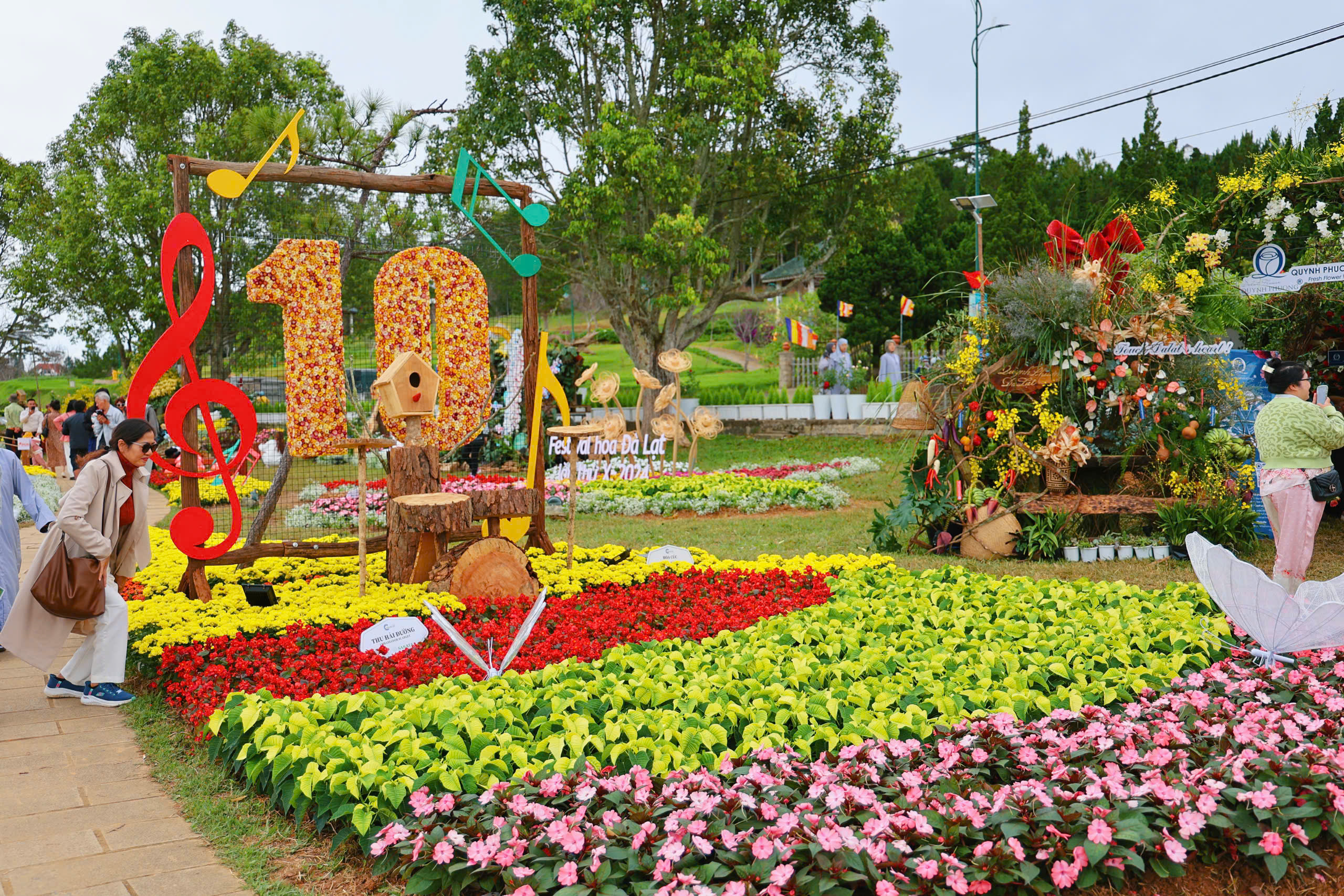 Check-in cùng bonsai khổng lồ, phố hoa khoe sắc tại Festival Hoa Đà Lạt - Ảnh 10.