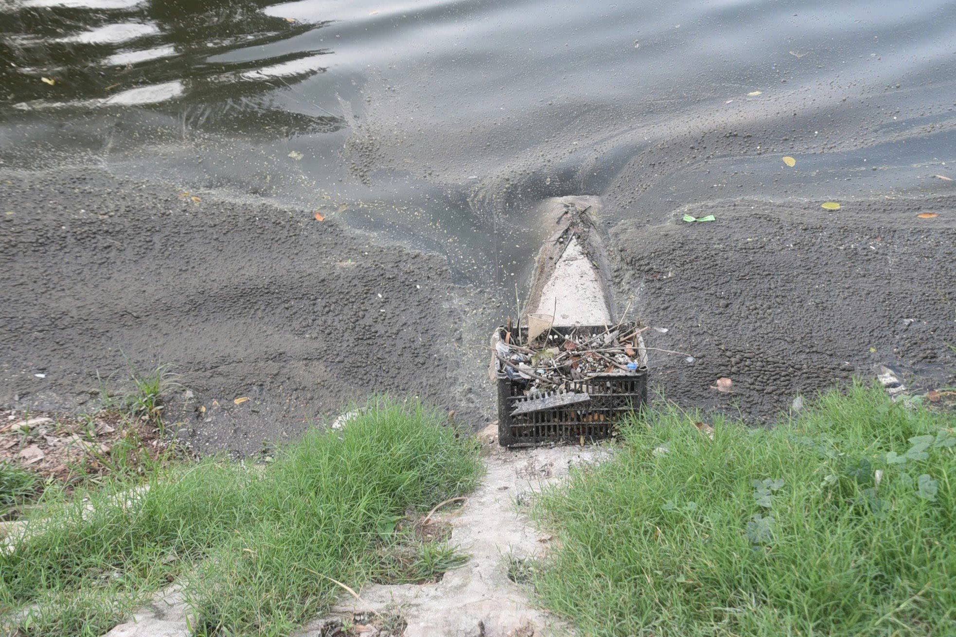 Grave contaminación, muchos lagos de Hanoi 'piden ayuda' (foto 5)