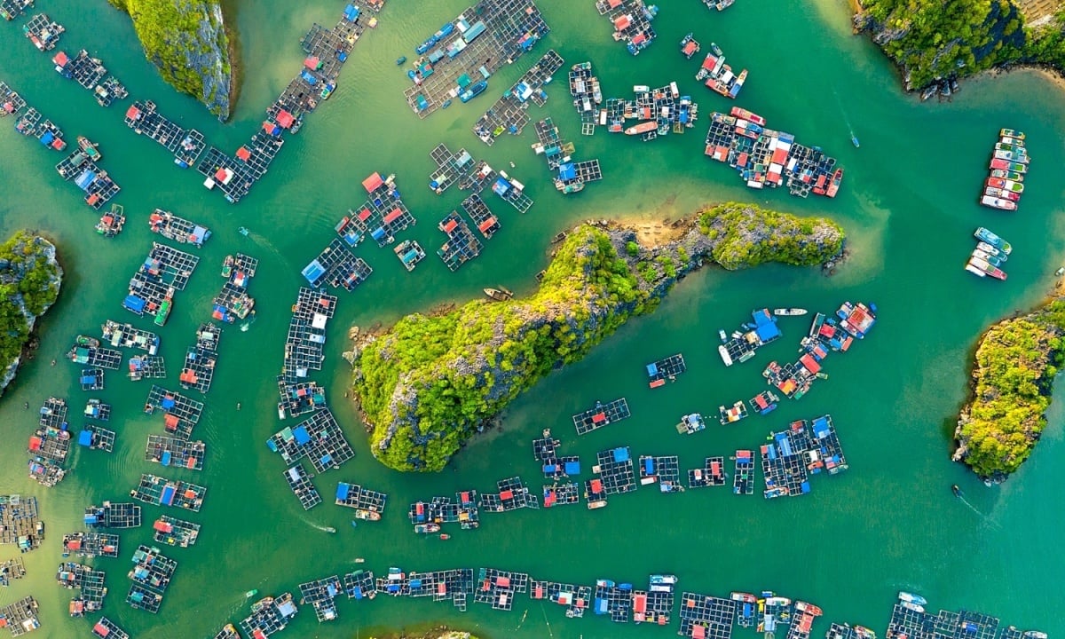 Was erwartet Ha Long – Cat Ba nach der UNESCO-Anerkennung?