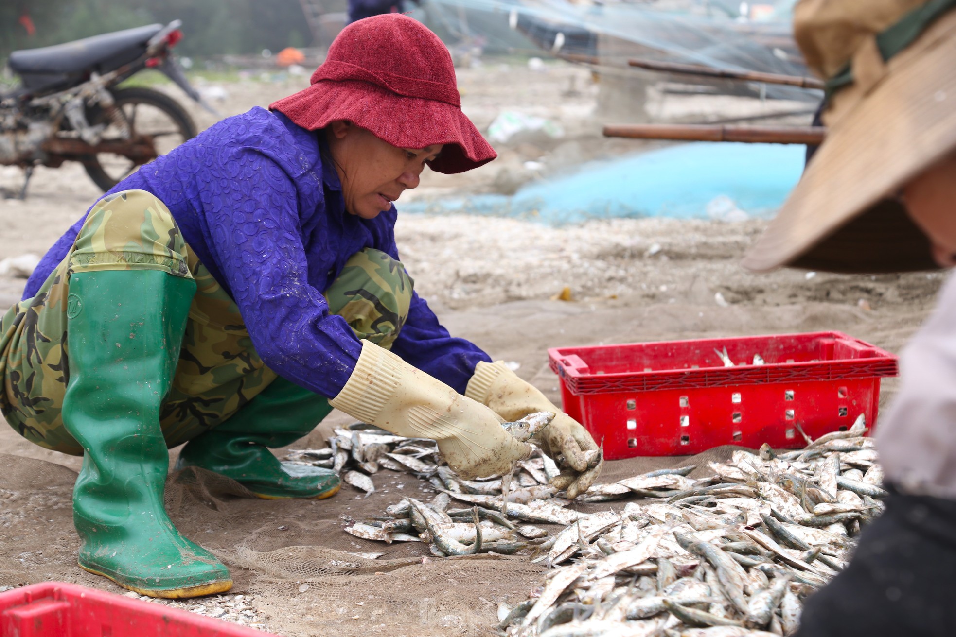 真夜中の波間を釣り、「高タンパク」の魚を捕まえる。漁師の手は魚を外すのに疲れている。写真10