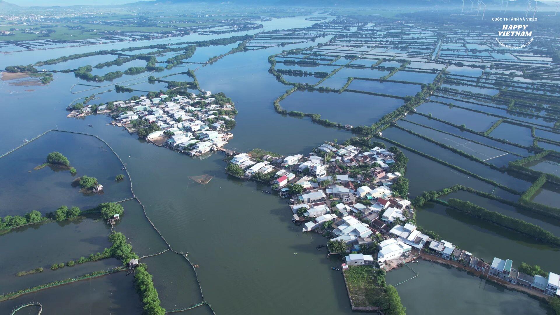 Thi Nai Lagoon Mangrove Forest, Quy Nhon