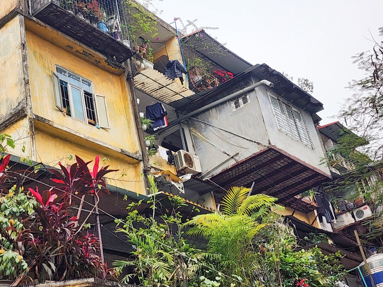 タンコン住宅地区の空中に「危なっかしく」置かれたトラの檻のクローズアップ写真 5