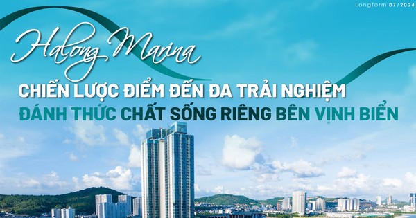 Chiến lược điểm đến đa trải nghiệm đánh thức chất sống riêng bên vịnh biển