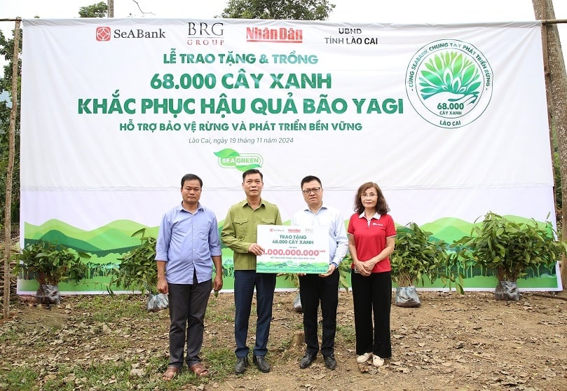 SeABank et BRG Group ont planté 68 000 arbres pour couvrir près de 20 hectares de forêt à Lao Cai