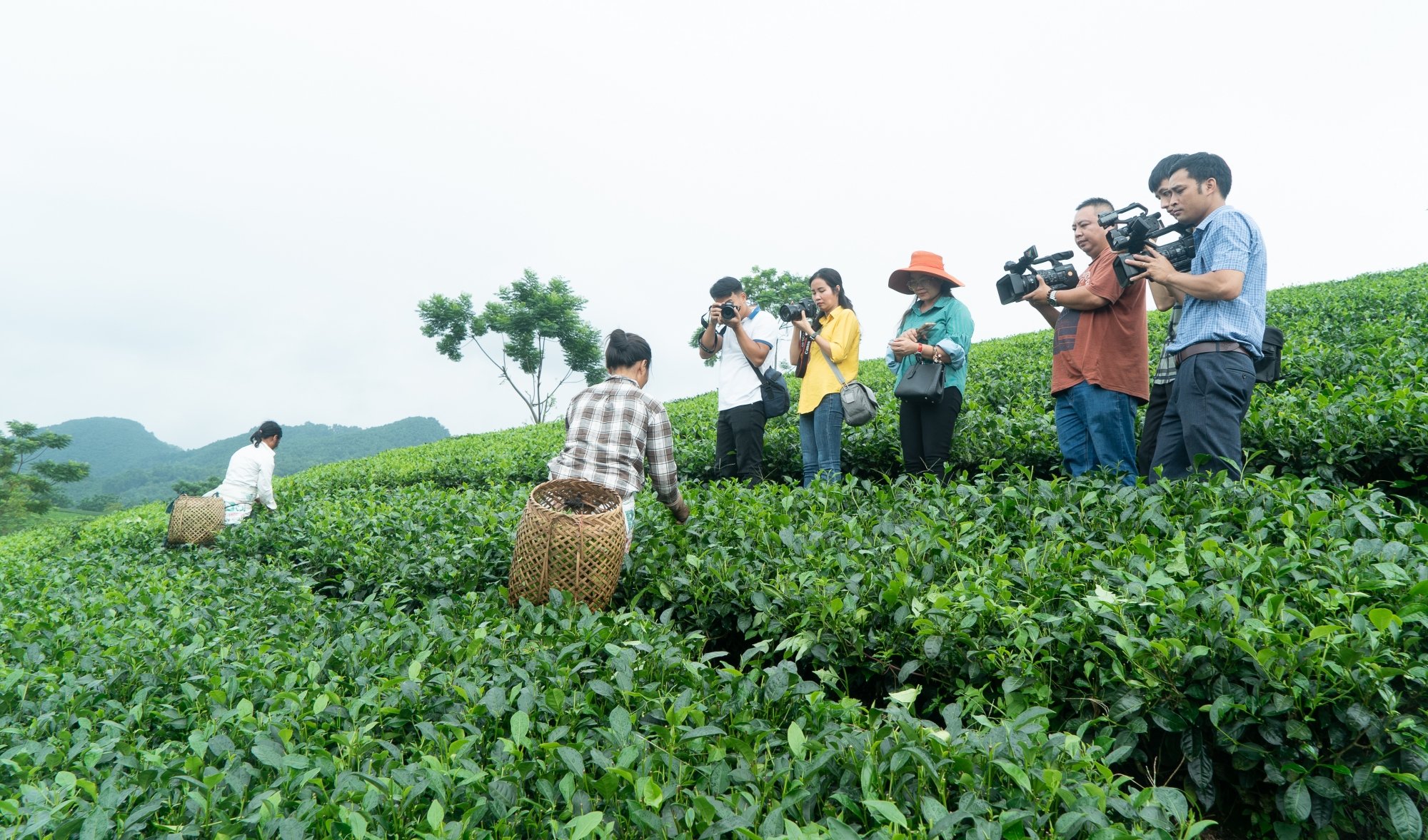 hon 30 hoi vien nha bao di thuc te sang tac tai huyen dinh hoa thai nguyen hinh 1