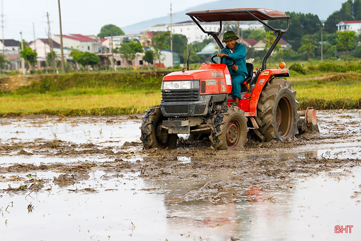 Ha Tinh farmers race against summer-autumn planting schedule