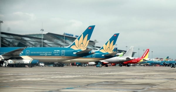 Airlines simultaneously open ticket sales for Lunar New Year 2025