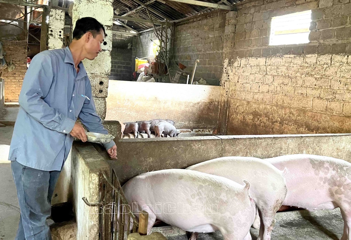 Les agriculteurs rivalisent en matière de bonne production et de bonnes affaires