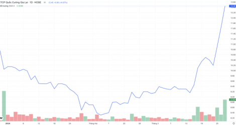 Quoc Cuong Gia Laiの株価は年初安値と比べて1.5倍に上昇した。