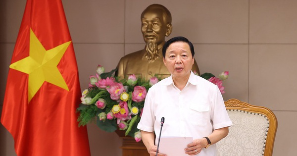 Deputy Prime Minister Tran Hong Ha requested the Ministry of Agriculture and Rural Development to "zone out" rice fields with high productivity and quality.