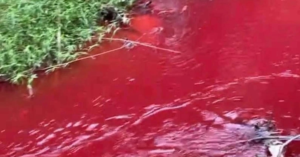 Identificación de la causa del color rojo del agua de manantial en Binh Phuoc