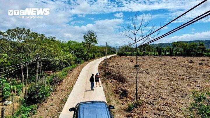 ダクラクでは多くの土地が安い価格で売られています。 （写真：D.V）