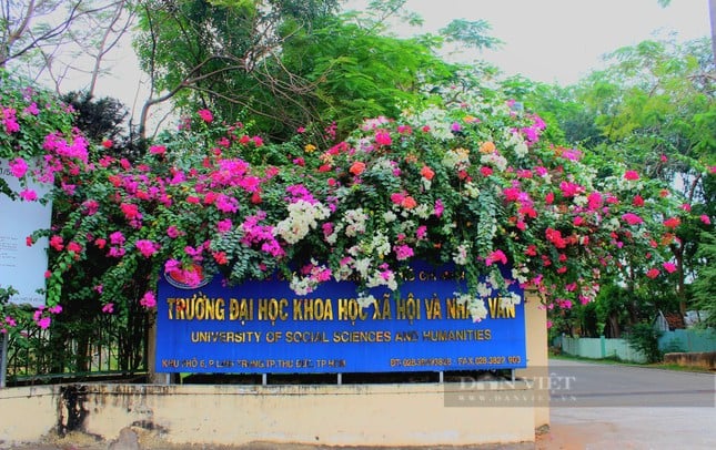 La hermosa carretera de flores de papel como en una película en la ciudad de Ho Chi Minh está causando revuelo en Internet foto 10