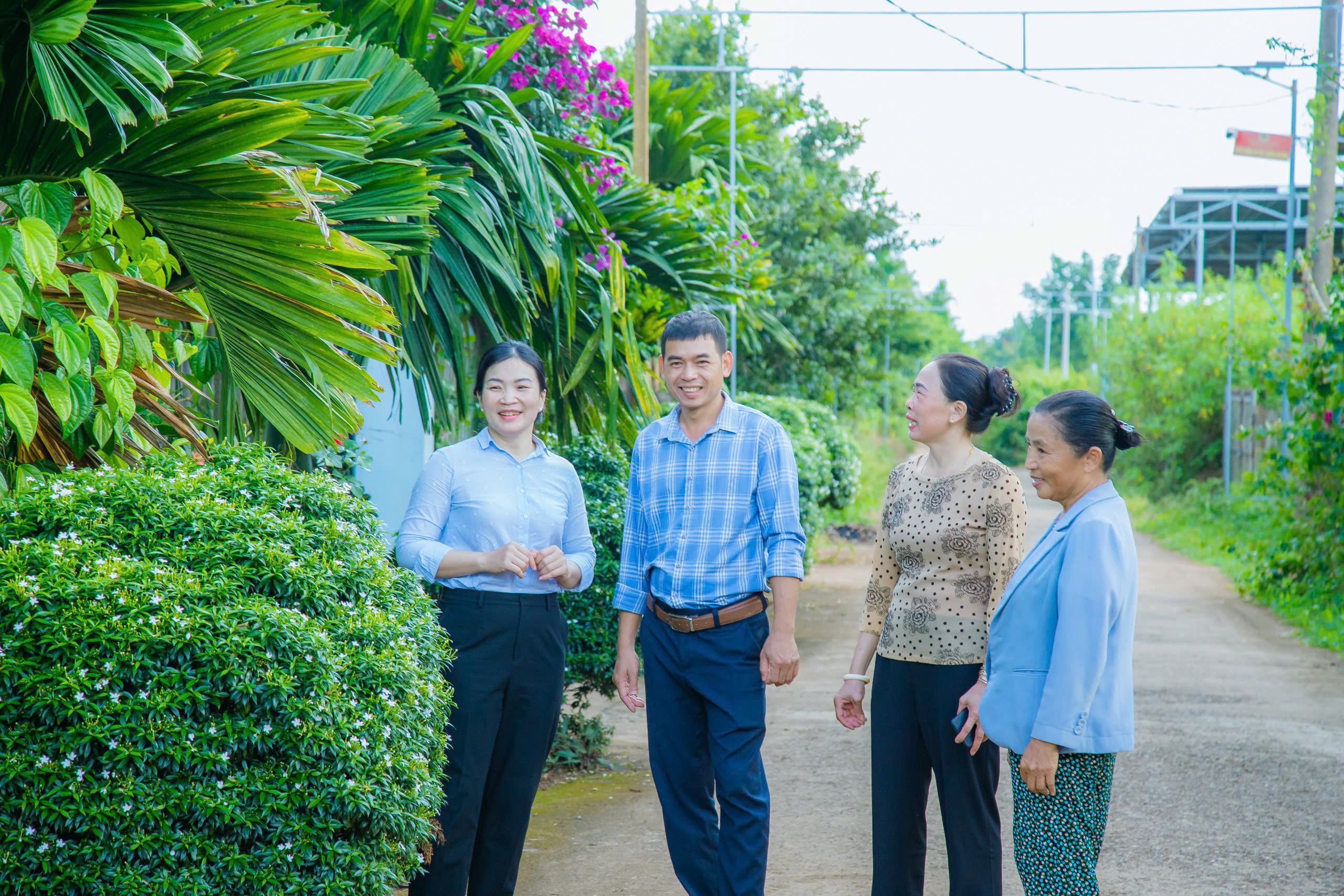 Những công trình từ nỗ lực của nông dân Đắk Lắk: Xây cầu, “gom nắng” thắp sáng đường quê, liên kết sản xuất nông nghiệp… - Ảnh 5.