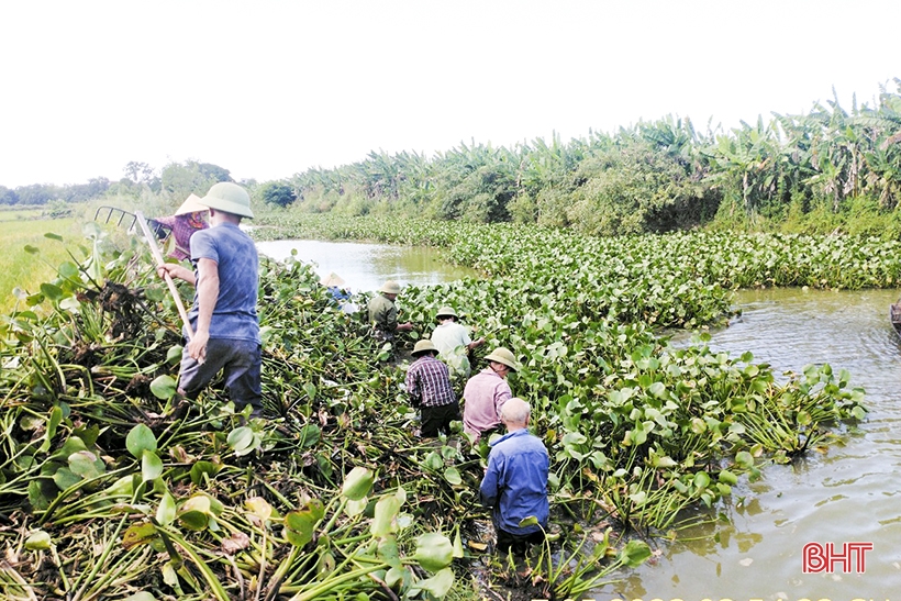 ភាព​លំបាក​ក្នុង​ការ​ដោះស្រាយ​ដំណាំ​ទឹក​នៅ​ប្រឡាយ Le ក្នុង​ក្រុង Duc Tho