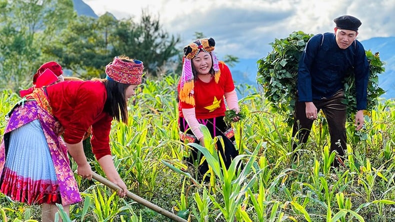 Launching music video promoting the beauty of Ha Giang photo 2