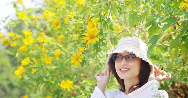 La foule admire les tournesols sauvages dans la banlieue de Hanoi