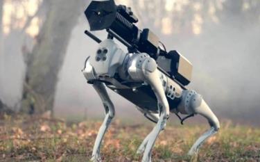 Thermonator robot dog.