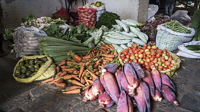 WHO recommends switching to other crops instead of tobacco - Photo 1.