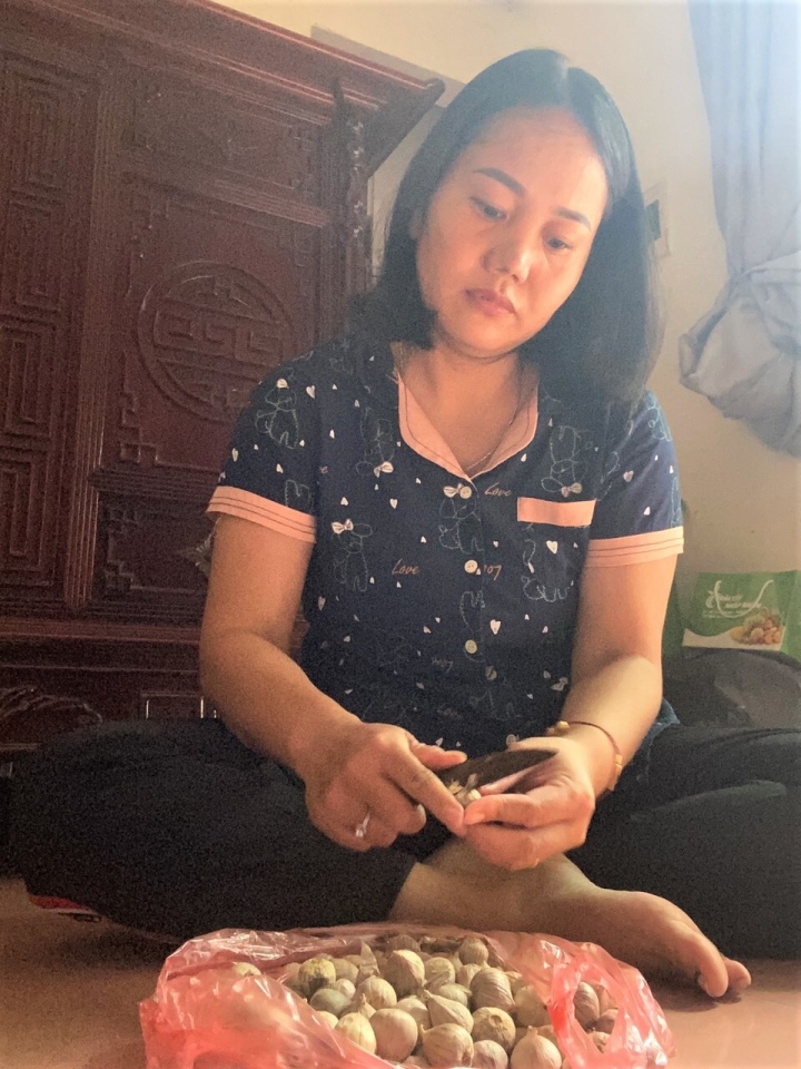 フオンさんは授業時間外にニンニクの皮むきの仕事を引き受けています。 （写真：NVCC）