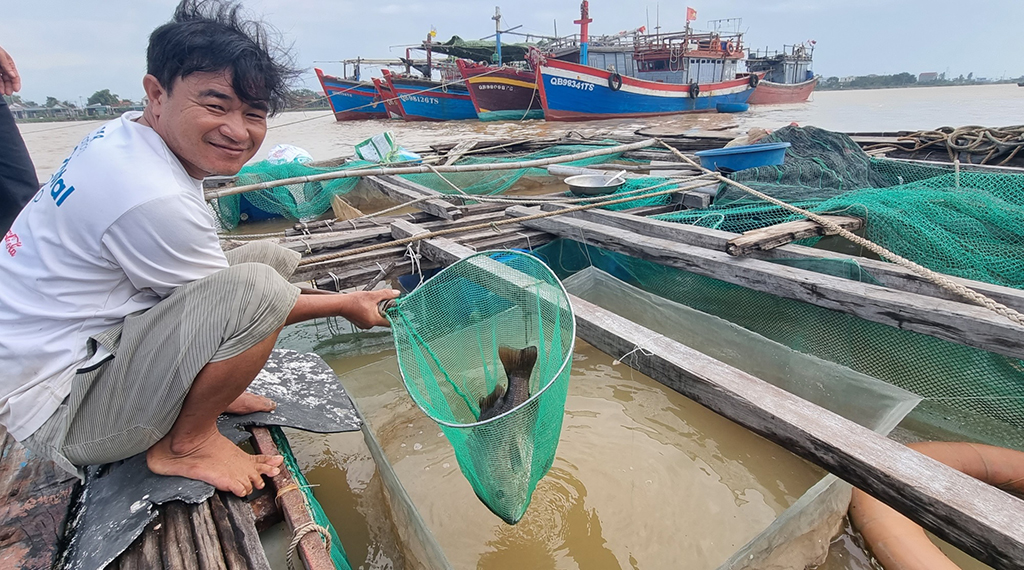 Cồn bãi giữa dòng Gianh: Những “cái nhất” ở Cồn Sẻ - Ảnh 4.