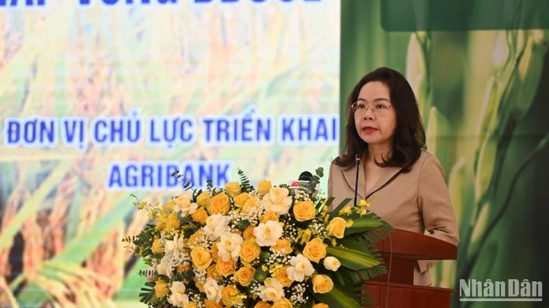 พร้อมจัดสรรทุนพิเศษดำเนินโครงการข้าวคุณภาพสูงปล่อยมลพิษต่ำ 1 ล้านเฮกตาร์ รูปที่ 3