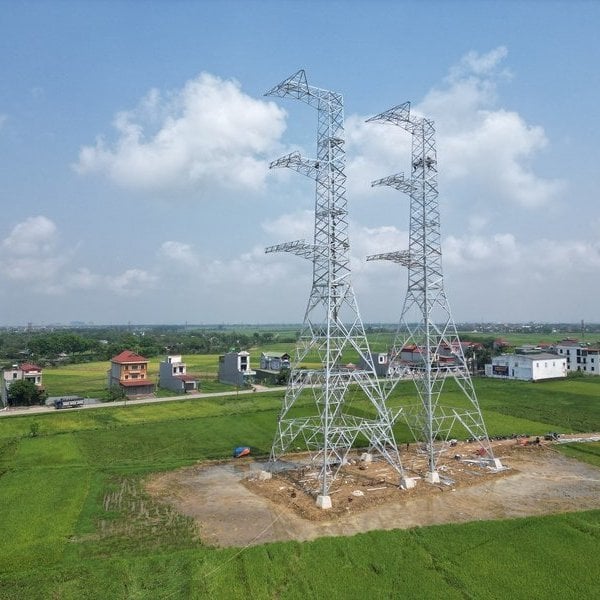 Thanh Hoa achève le déblaiement du site pour le projet de ligne électrique de 500 kV