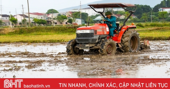 Nông dân Hà Tĩnh chạy đua với lịch gieo cấy hè thu