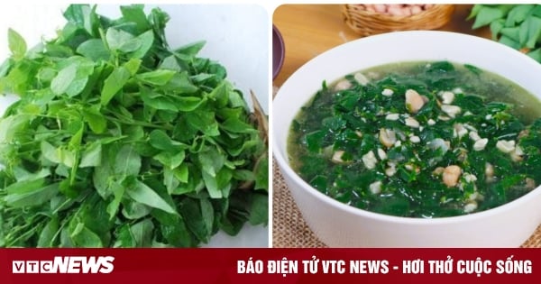 Is it good to eat Malabar spinach every day?