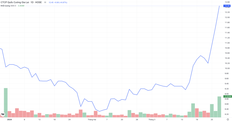 年初からのQCG株価と流動性チャート。