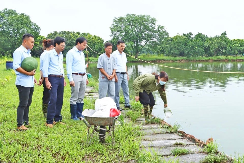 Mô hình nuôi trồng thủy sản tại huyện Mỹ Đức. Ảnh: Thu Phượng