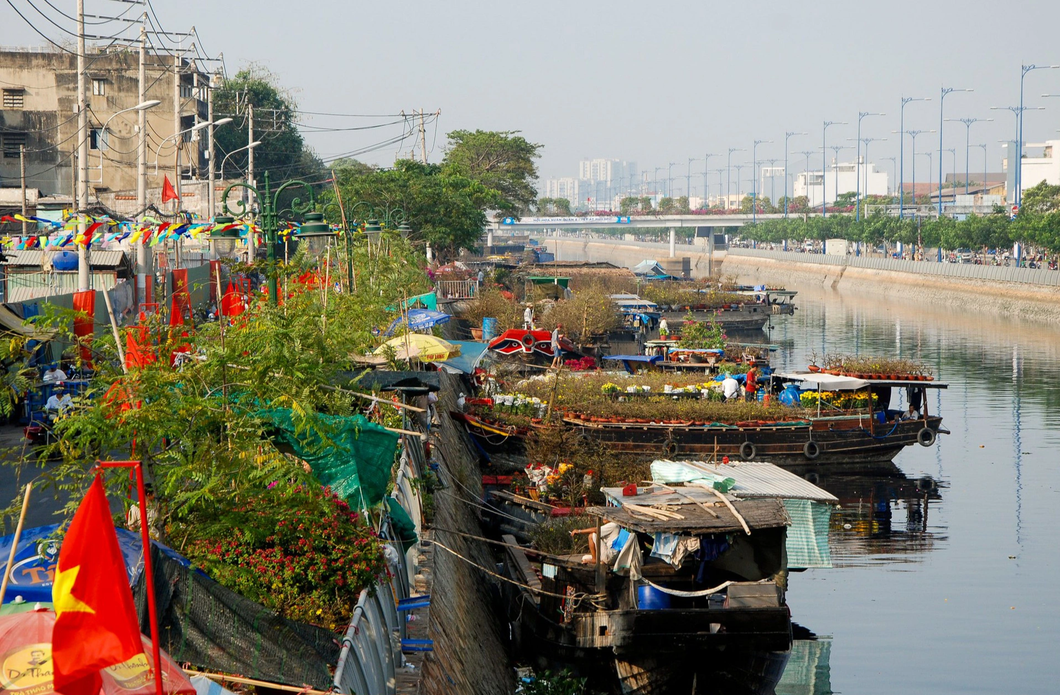 Mỗi mùa xuân về, bến Bình Đông ngập tràn hoa mai, vàng rực một đoạn sông dài, họp thành chợ hoa - Ảnh: VÕ LINH