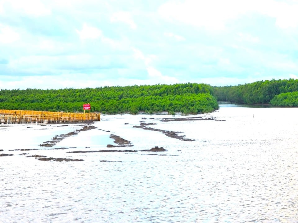 Ca Mau Cape is gradually moving towards the sea (Hoang Nam)