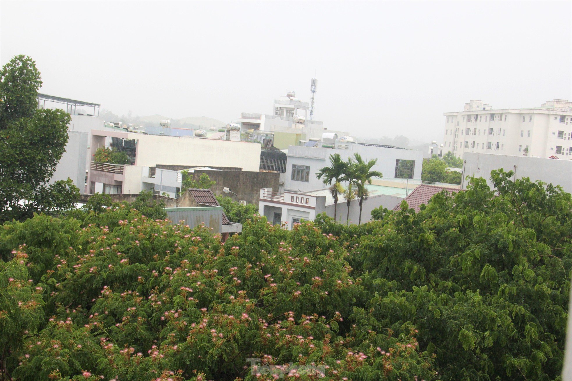 Viele Straßen in Da Nang wurden nach dem goldenen Regen zur Abkühlung überflutet Foto 10