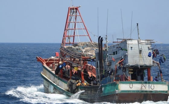 違法に魚介類を漁獲する漁船に対して強力な措置を講じる