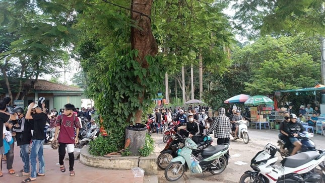 Ba Vi National Park is crowded with young people coming to 'hunt clouds' photo 1