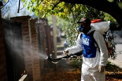 El dengue hace estragos en las Américas