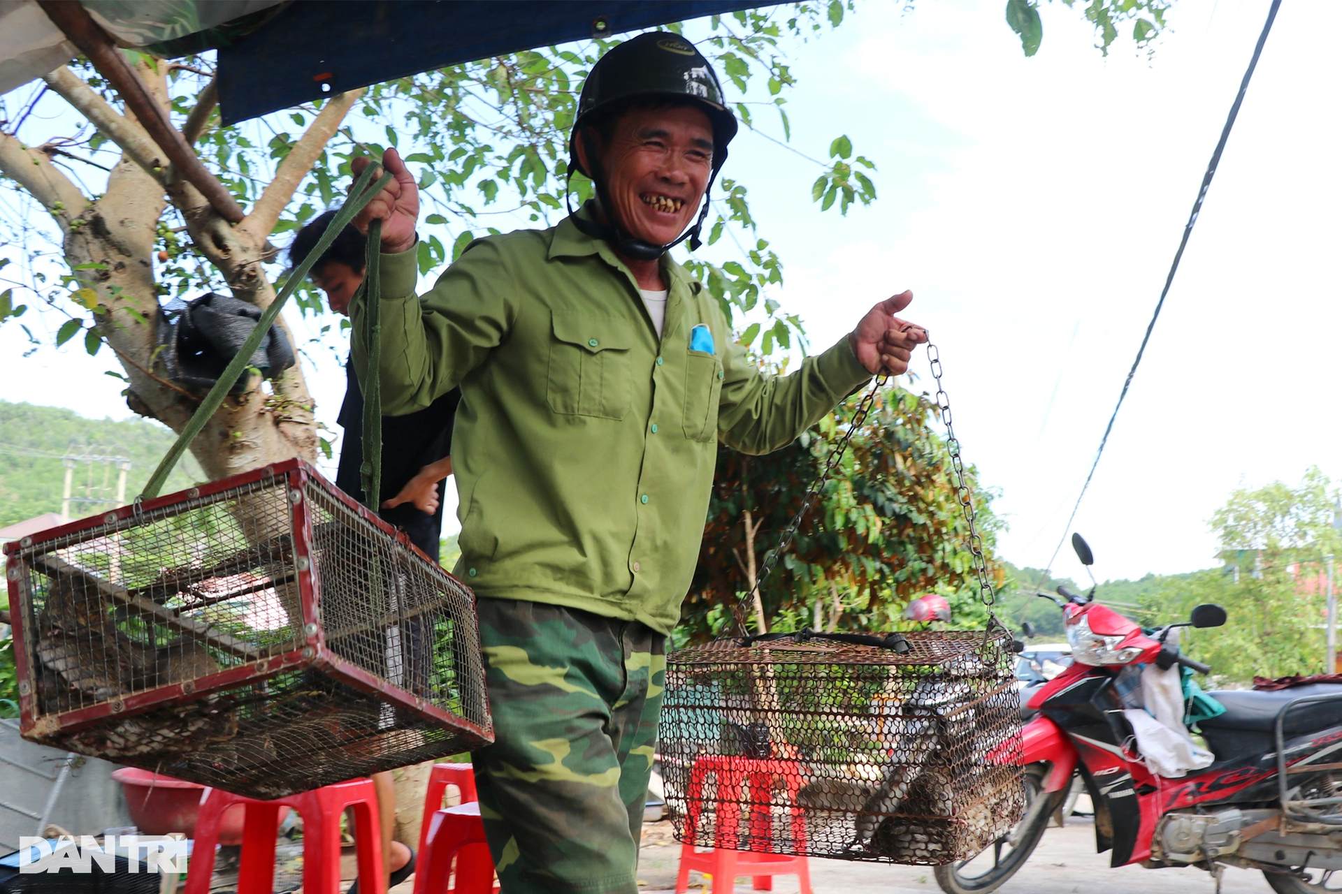 Gom bắt cả lồng chuột nhung nhúc, nông dân kiếm tiền triệu sau một đêm - 7