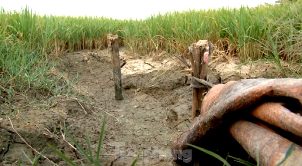 The West is 'tormented' by drought, salinity, and landslides, photo 10